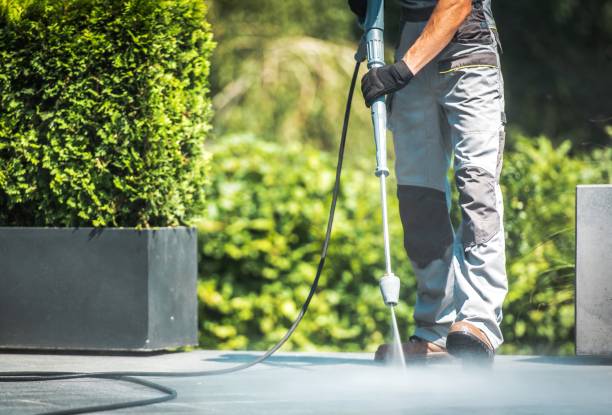 Best Winterizing Services  in North Lewisburg, OH